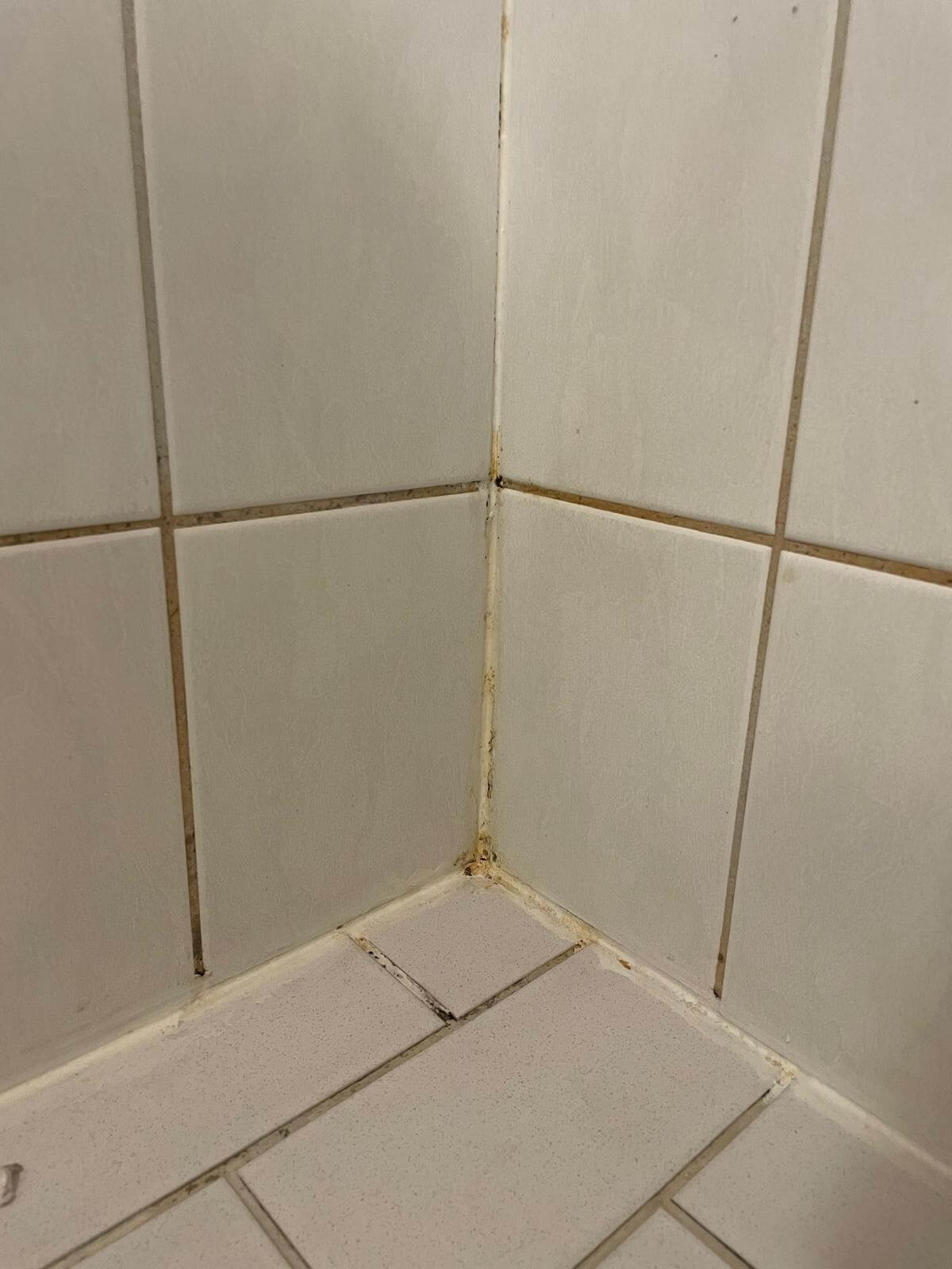 Valkoiset laatat, joissa keskellä ja saumoissa kellastumista ja likaa.