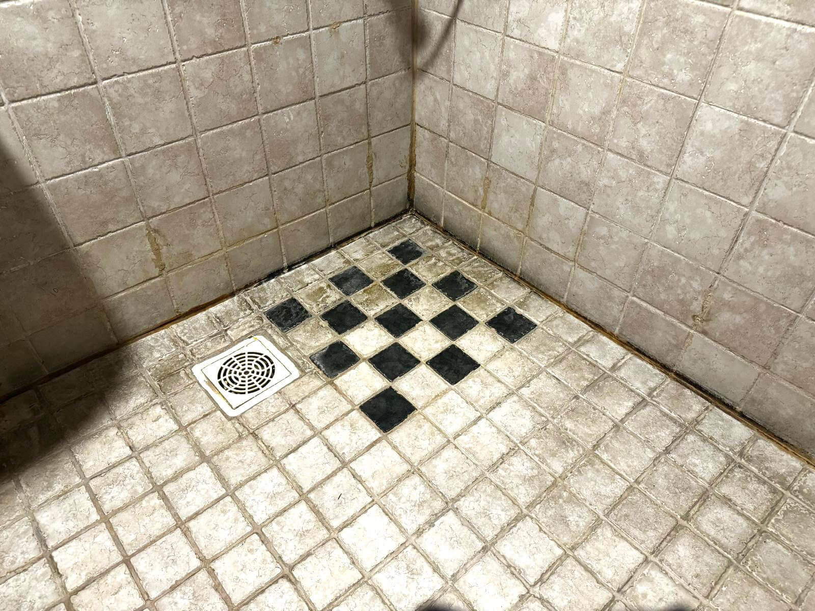 Suihkutilan nurkka, jossa on likaantuneita ja tummentuneita vaaleita laattoja sekä mustia laattoja lattiassa lähellä viemäriä.